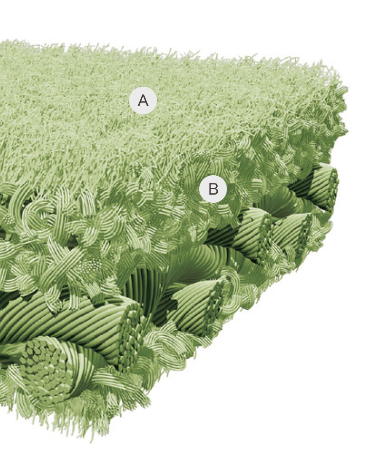 �E���g���X�G�[�h �f�ʐ}