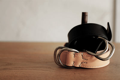 MINERVA（ミネルバ）