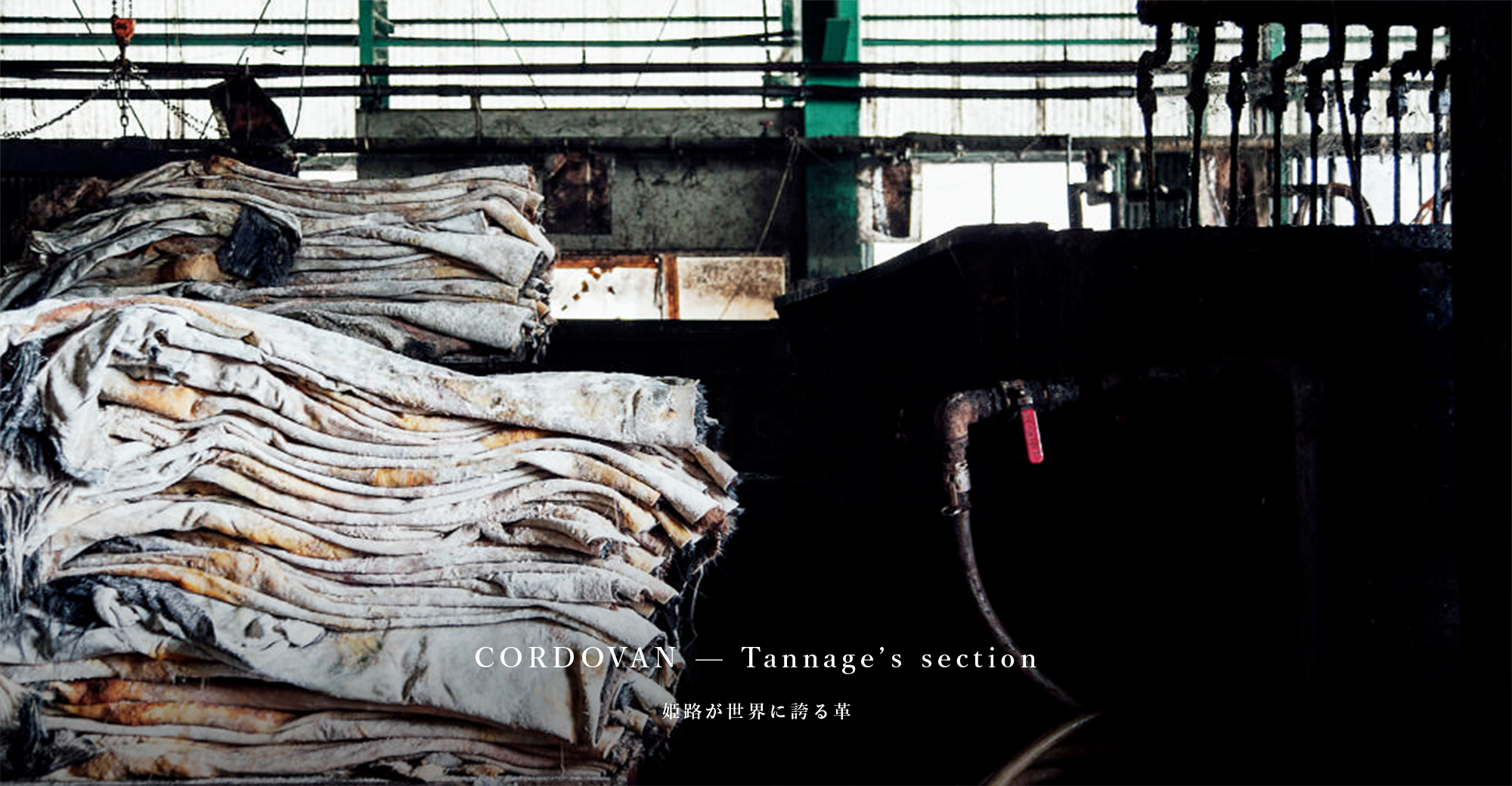 CORDOVAN - Tanner’s section